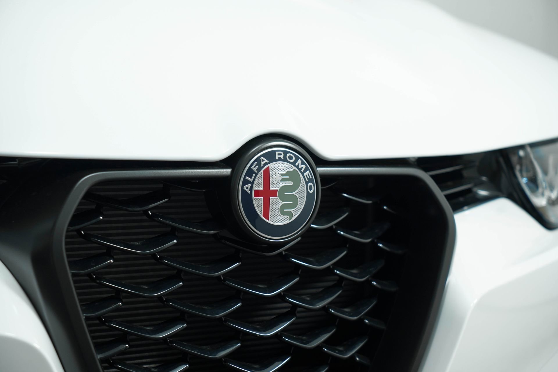 New 2025 Alfa Romeo Tonale w/ Premium Package image 12