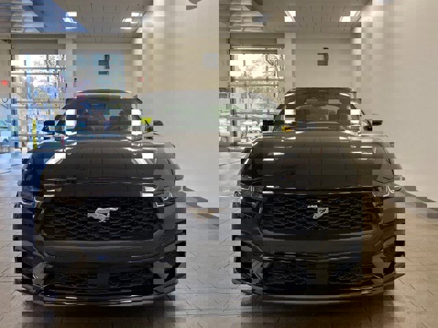 New 2024 Ford Mustang Premium image 3