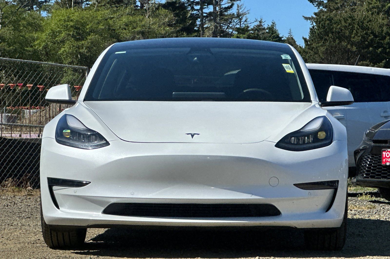 Used 2021 Tesla Model 3 Standard Range Plus RWD image 6