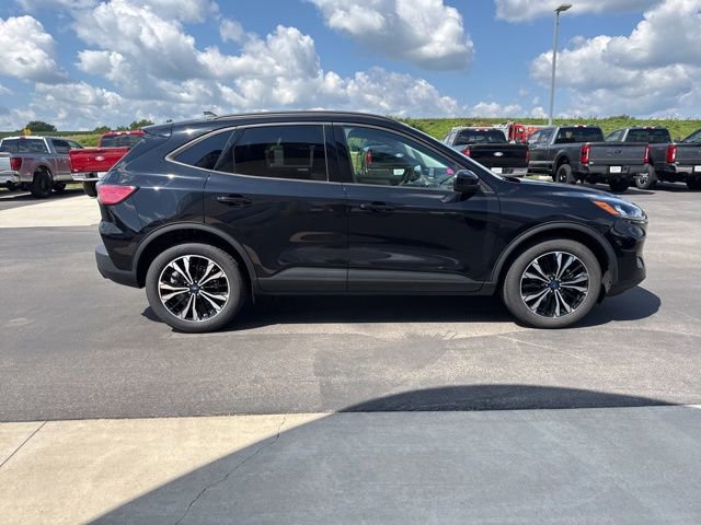 Used 2022 Ford Escape SE w/ SE Sport Appearance Package image 6