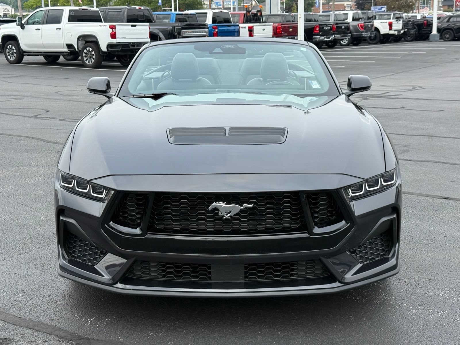 Used 2024 Ford Mustang GT Premium RWD image 9