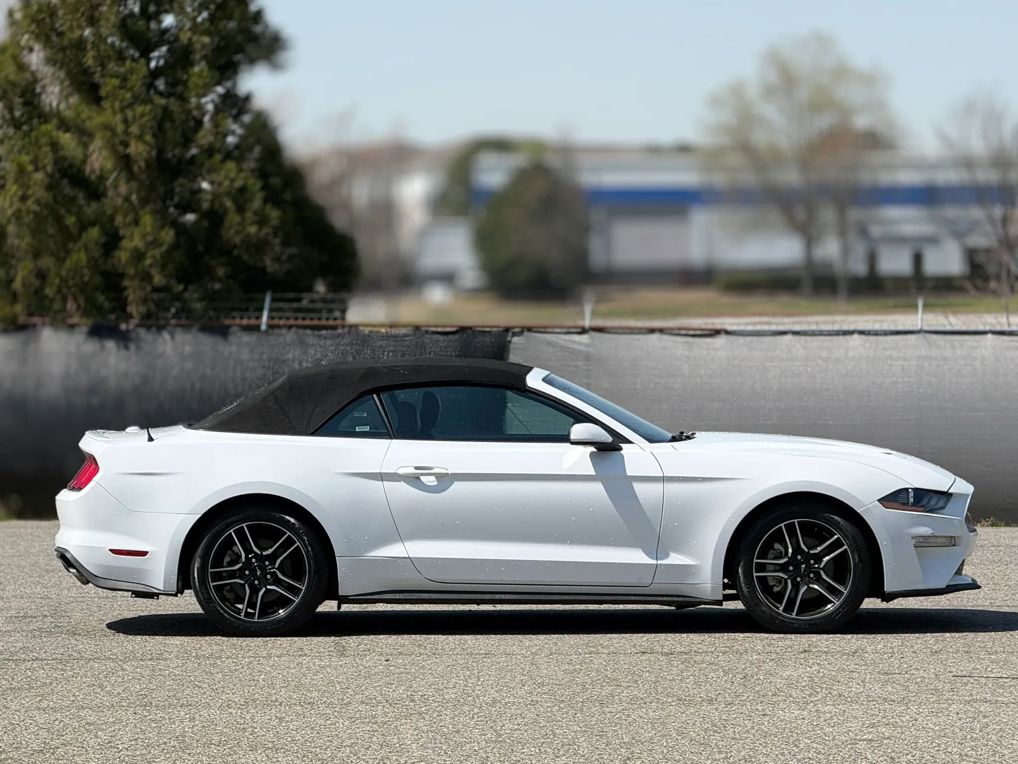 Used 2023 Ford Mustang Premium RWD image 7