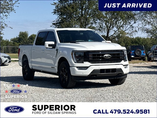 Used 2023 Ford F150 Platinum w/ Equipment Group 701A High