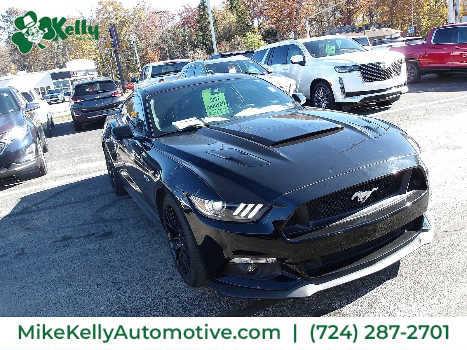 Used 2015 Ford Mustang GT Premium w/ GT Performance Package image 1