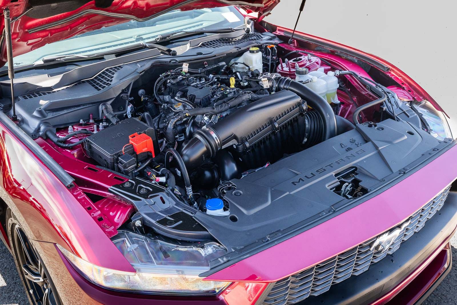 Used 2025 Ford Mustang Coupe image 20