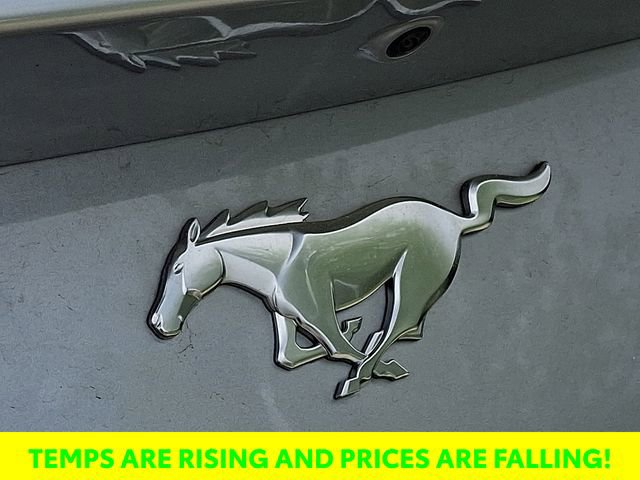 Used 2024 Ford Mustang Premium image 24