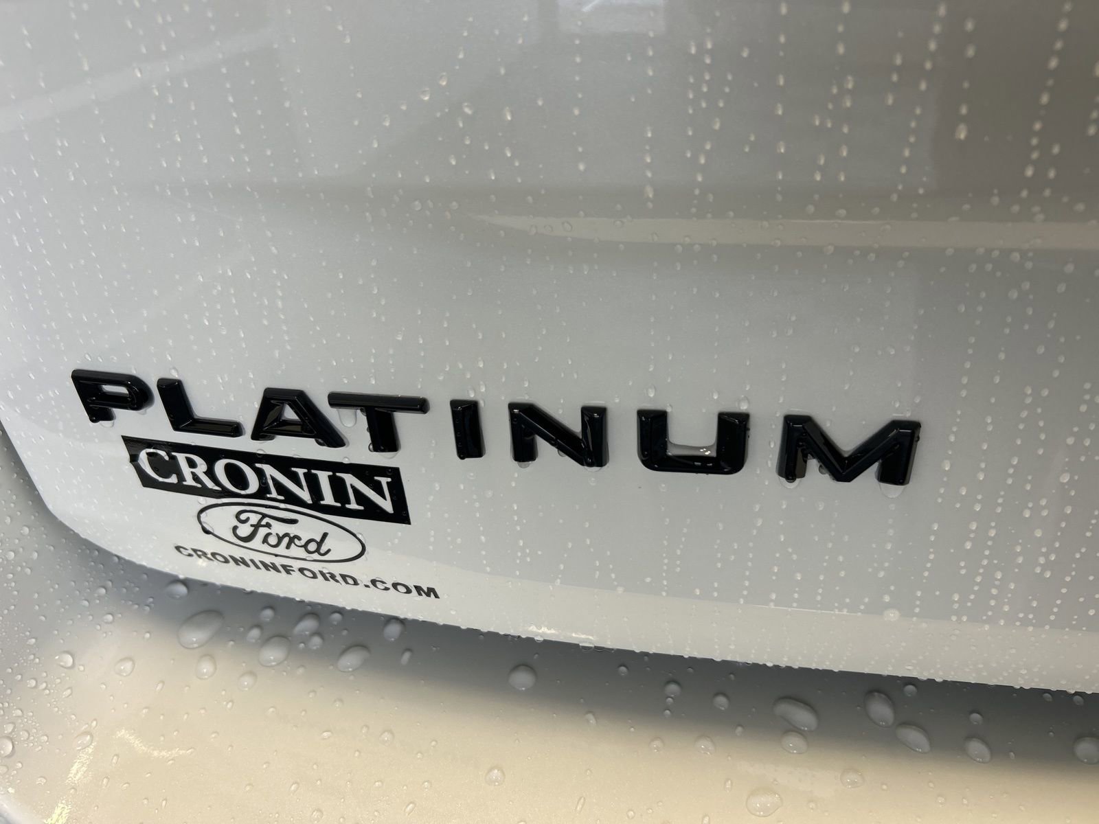 New 2025 Ford Expedition Max Platinum w/ Stealth Performance Package image 8