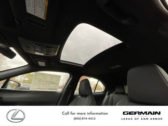 New 2025 Lexus UX 300h AWD image 21