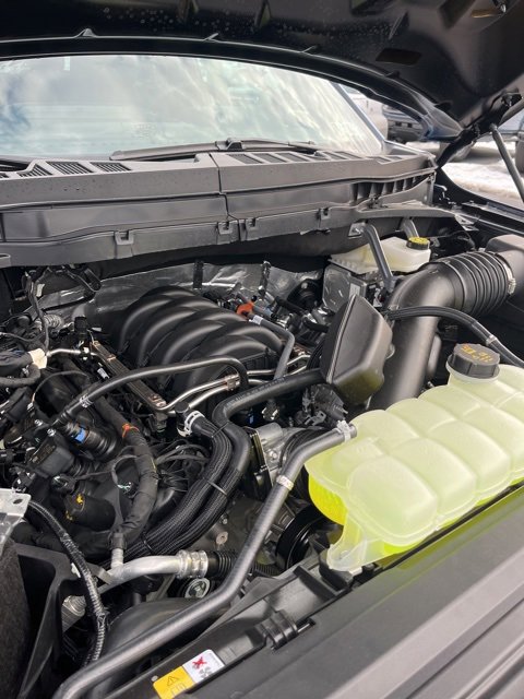 New 2025 Ford F150 STX w/ LOBO Package image 19