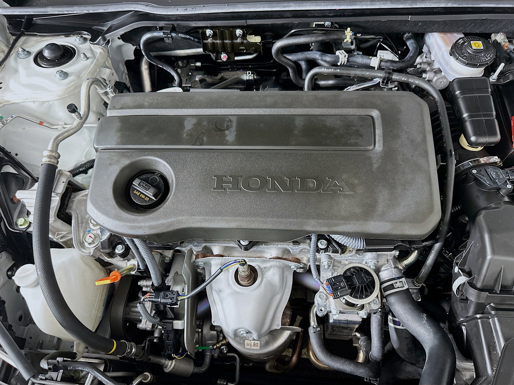 Used 2025 Honda Civic Sport image 32