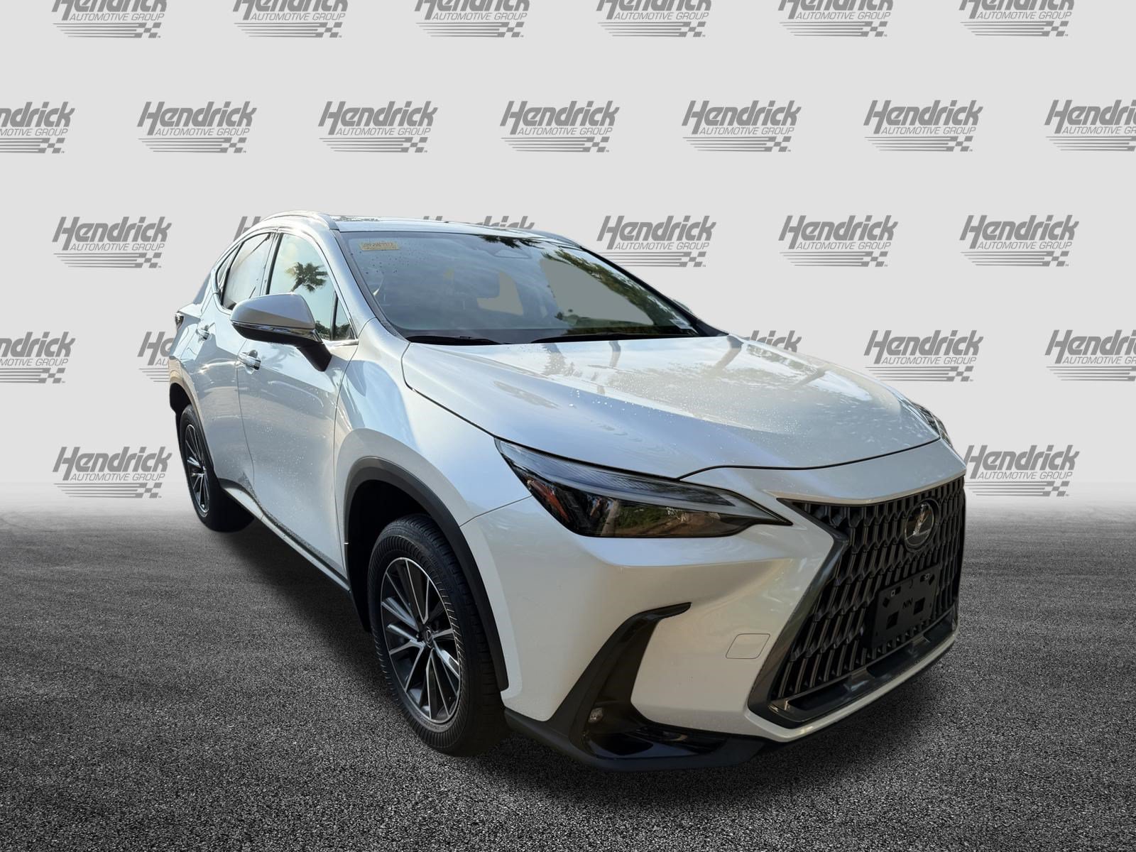 Used 2024 Lexus NX 250 FWD w/ Cold Area Package image 2