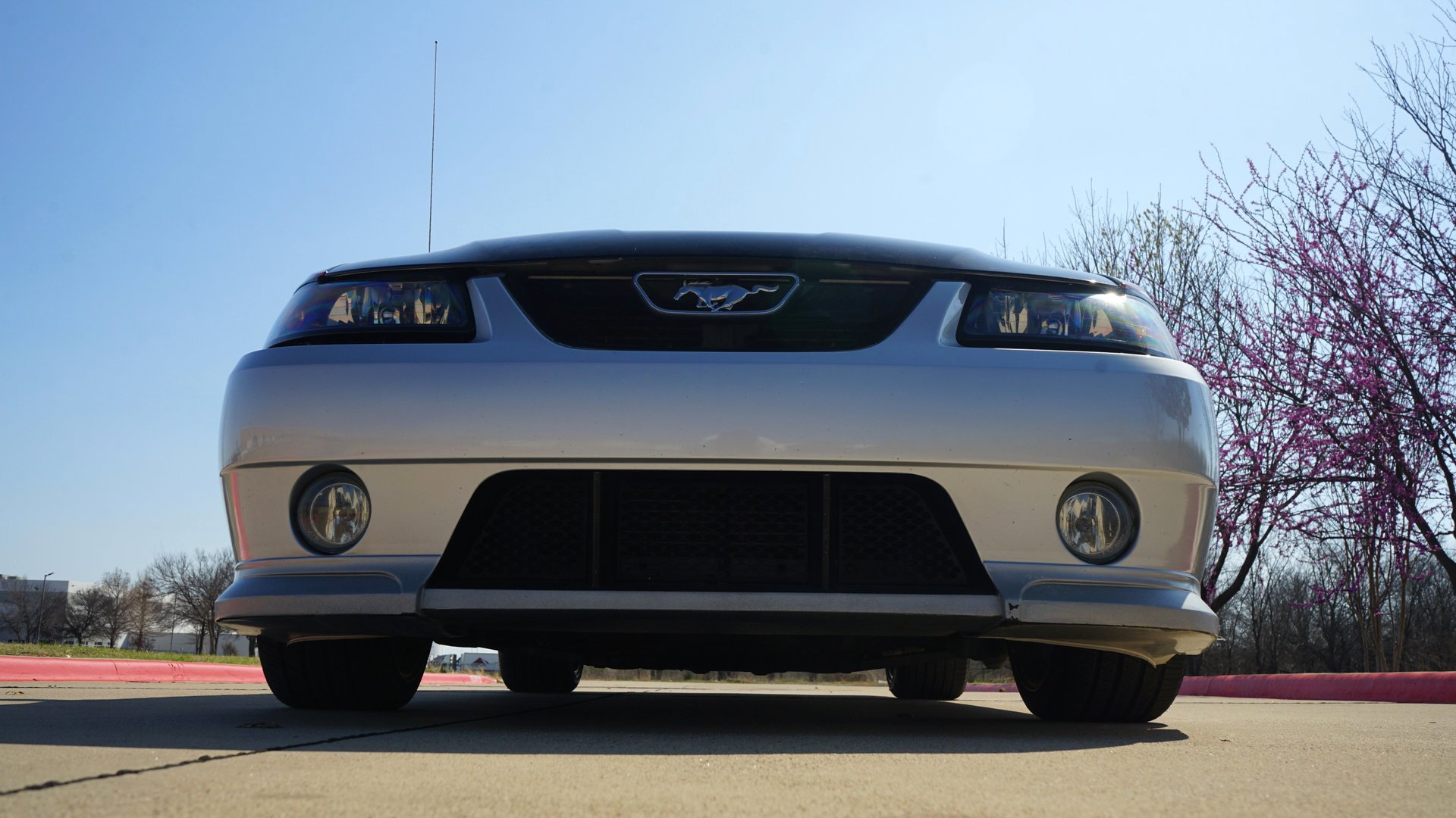 Used 2003 Ford Mustang GT image 25