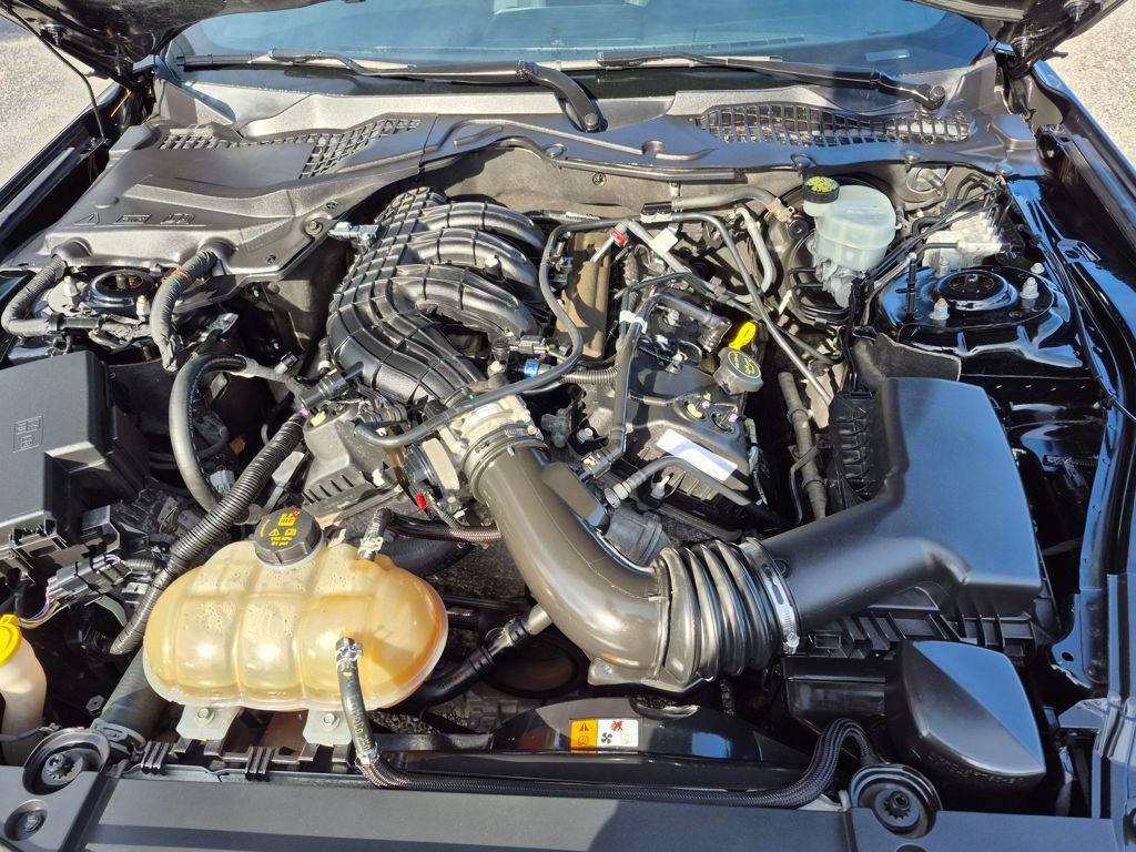 Used 2017 Ford Mustang Coupe image 11