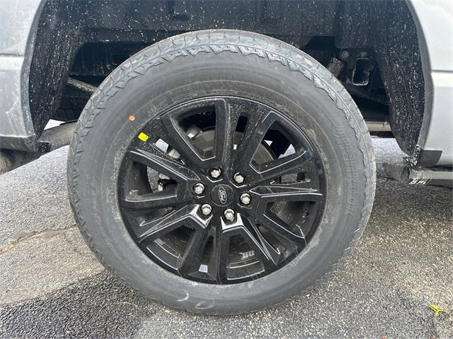 New 2025 Ford F150 Platinum w/ Equipment Group 702A High image 13