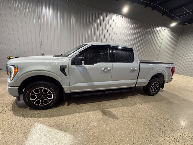 Used 2023 Ford F150 XLT w/ Equipment Group 302A High AWD/4WD image 2