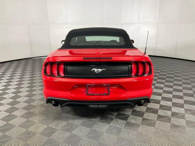 Used 2019 Ford Mustang Premium w/ Equipment Group 201A image 5