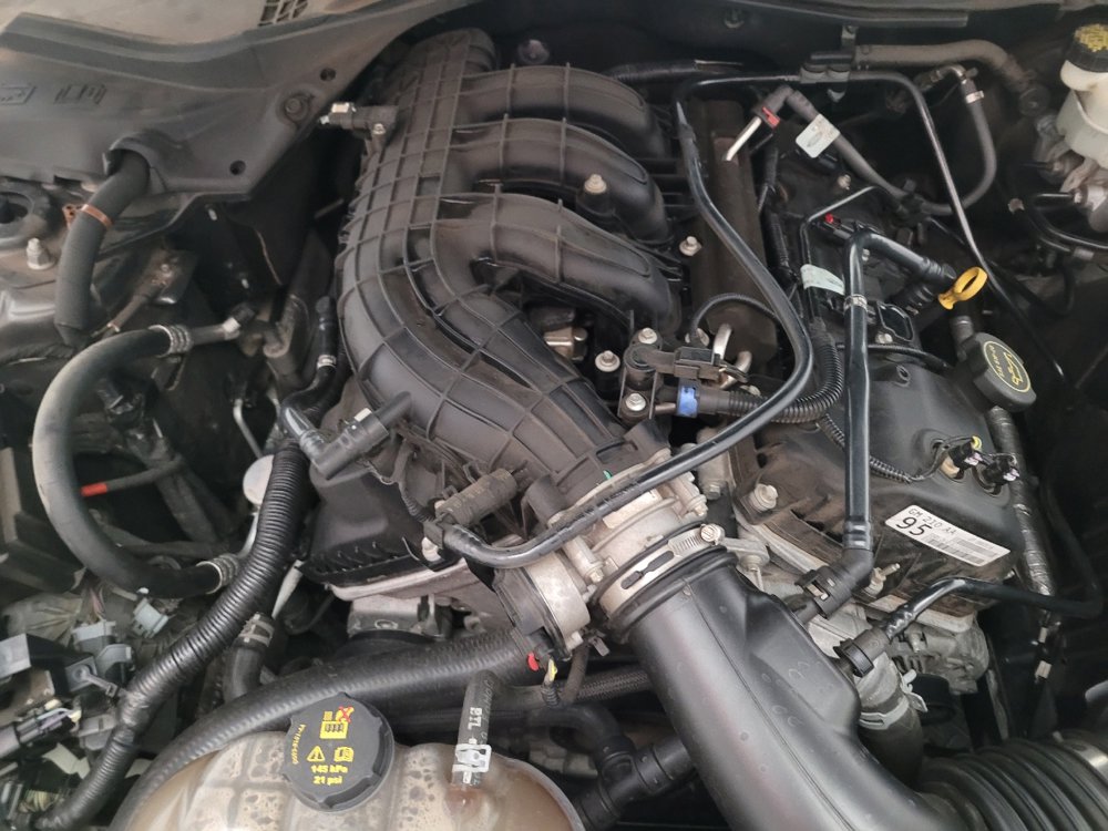 Used 2016 Ford Mustang Coupe image 30