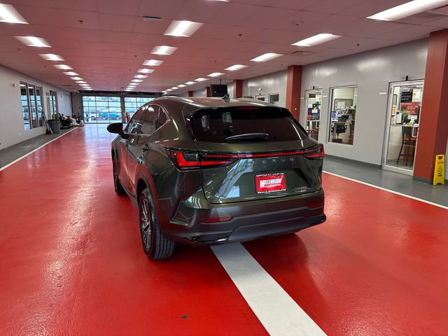 Used 2023 Lexus NX 350 AWD w/ Cold Area Package image 5