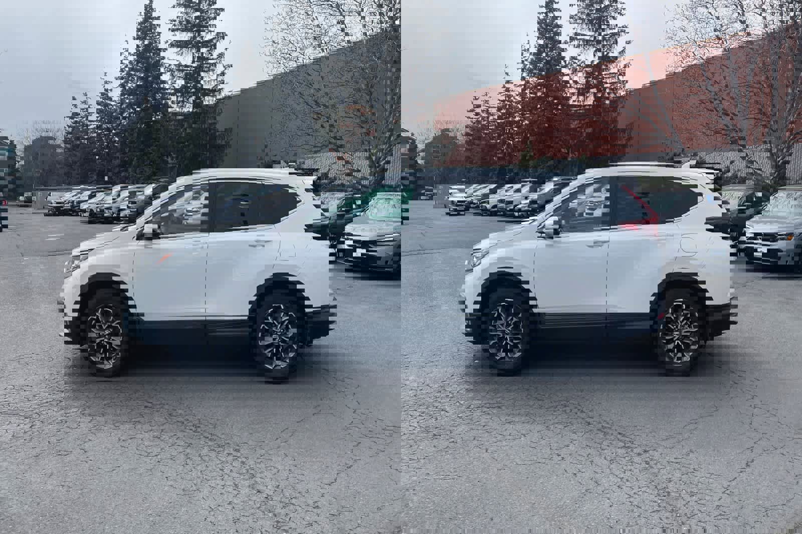 Used 2022 Honda CR-V EX image 5