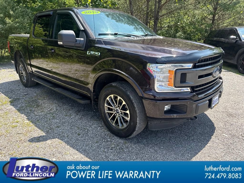 Used 2019 Ford F150 XLT w/ Equipment Group 301A Mid AWD/4WD video 1