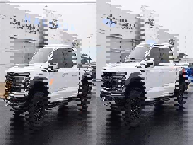 Used 2024 Ford F150 Raptor image 1