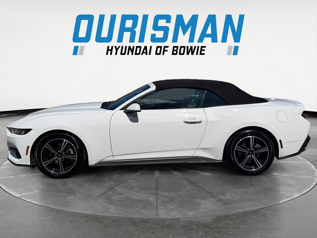 Used 2025 Ford Mustang Premium image 3