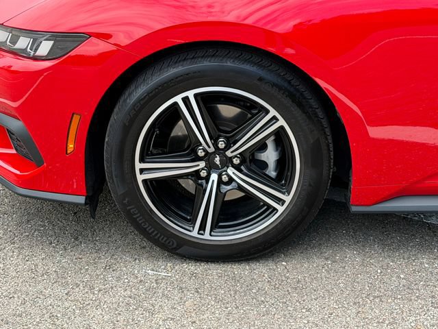 Used 2024 Ford Mustang Coupe RWD image 24