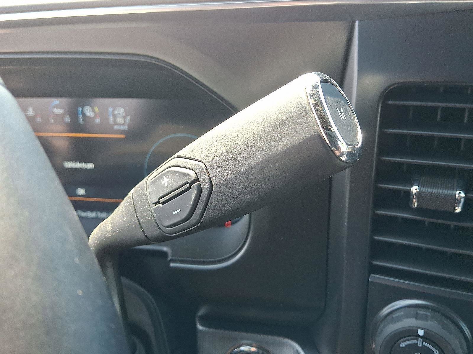 New 2025 Ford F250 Platinum image 11