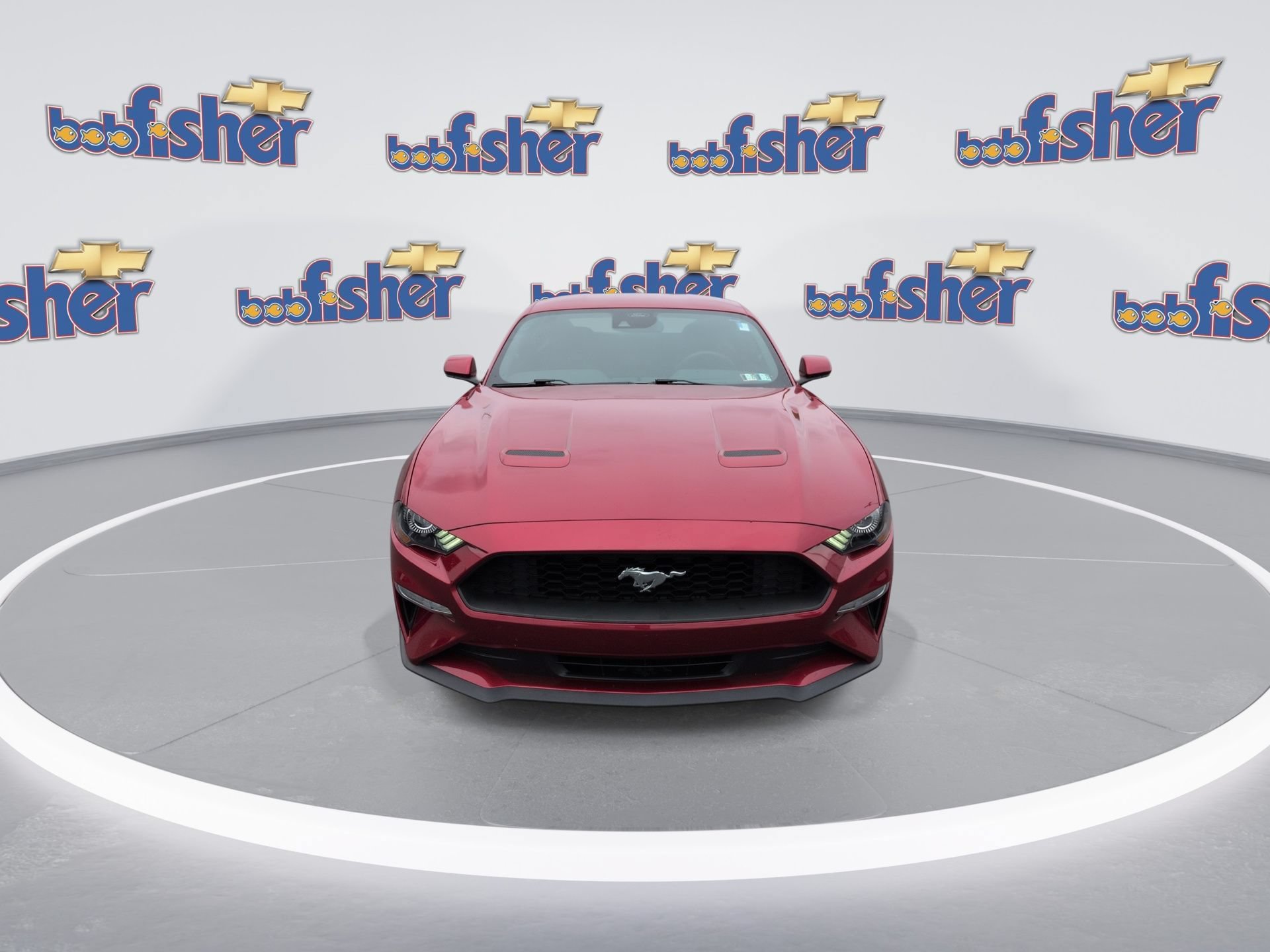 Used 2021 Ford Mustang Coupe RWD image 4