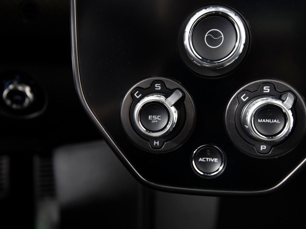 Used 2019 McLaren Senna image 36