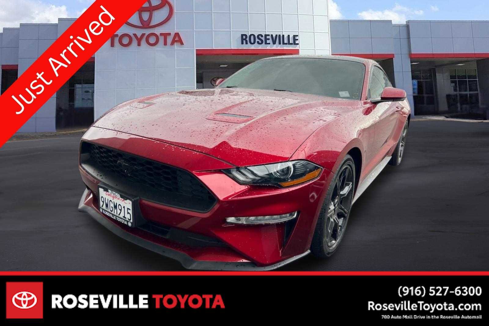 Used 2019 Ford Mustang Premium w/ Equipment Group 201A RWD video 1