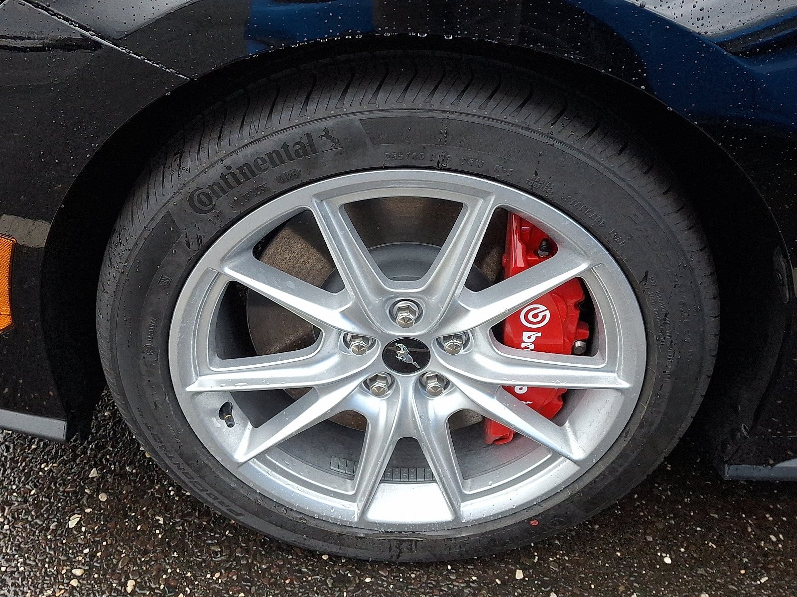 New 2026 Ford Mustang GT Premium RWD image 4
