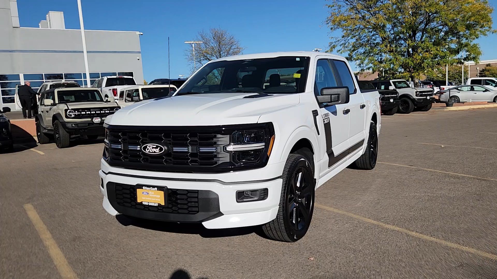 Used 2026 Ford F150 STX w/ F-150 LOBO Package AWD/4WD image 4