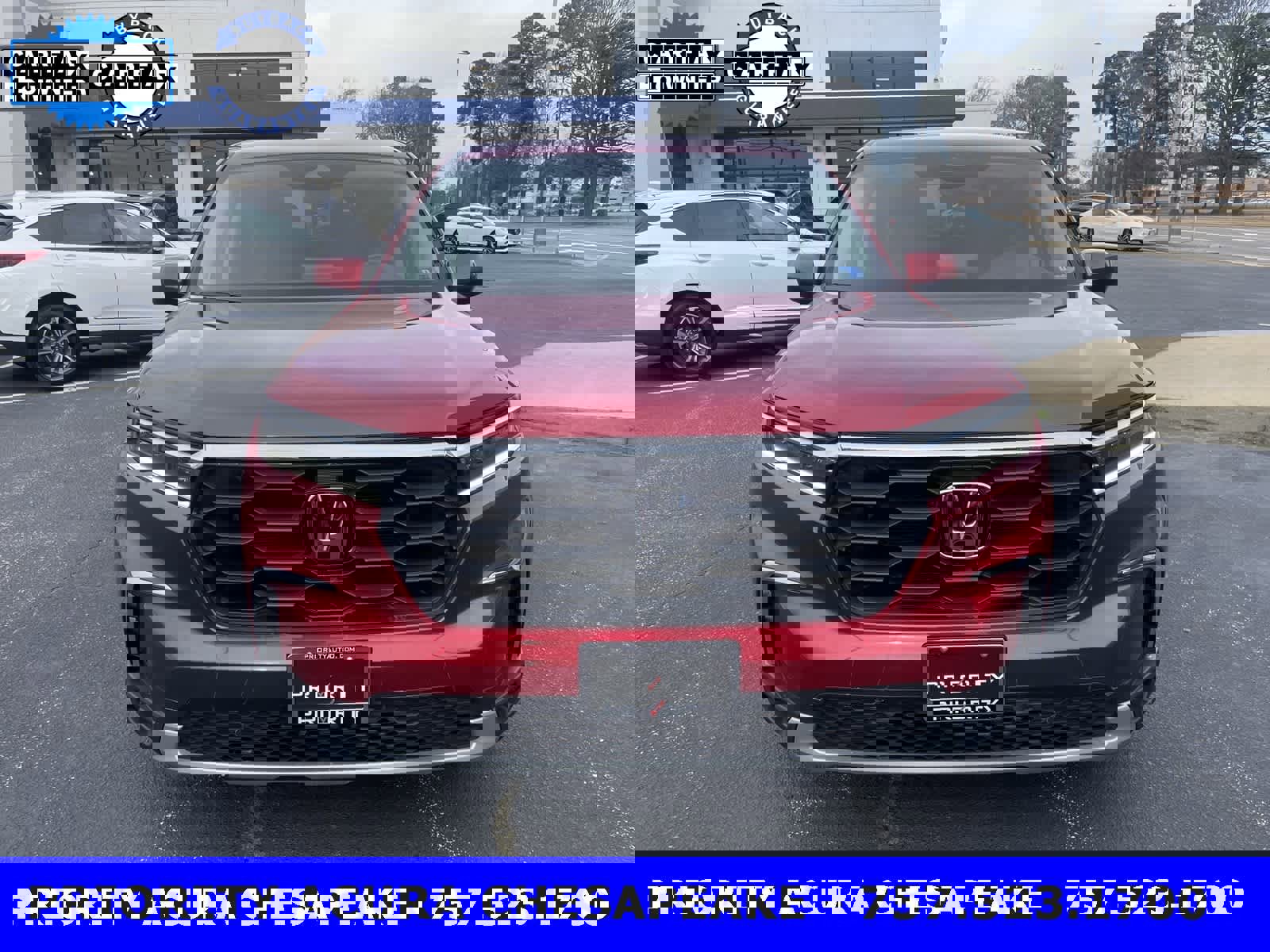 Used 2025 Honda Pilot EX-L image 8