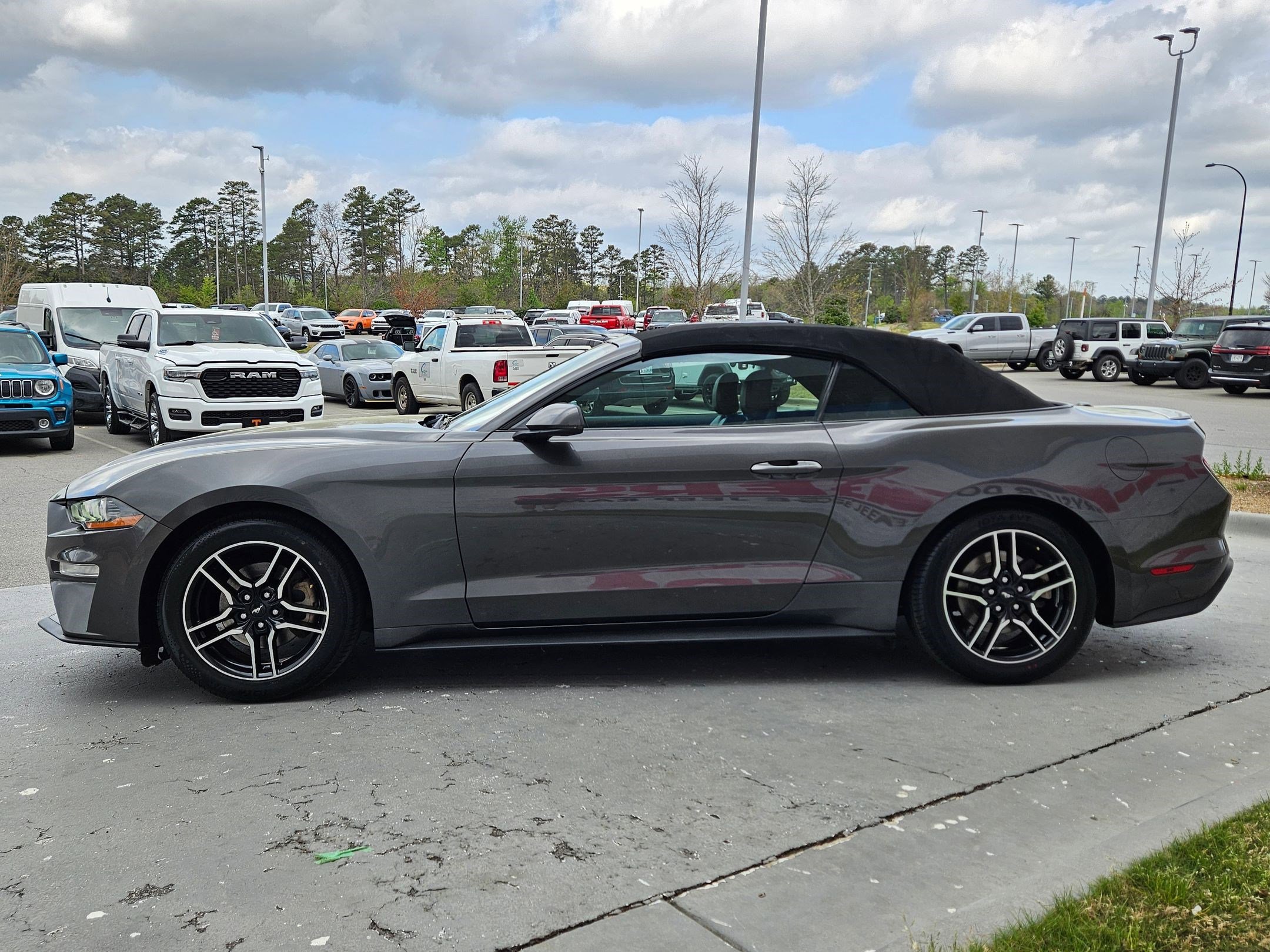 Used 2019 Ford Mustang Premium image 4