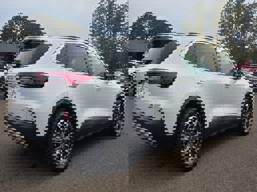 Used 2023 Ford Escape Platinum w/ Premium Technology Package image 2