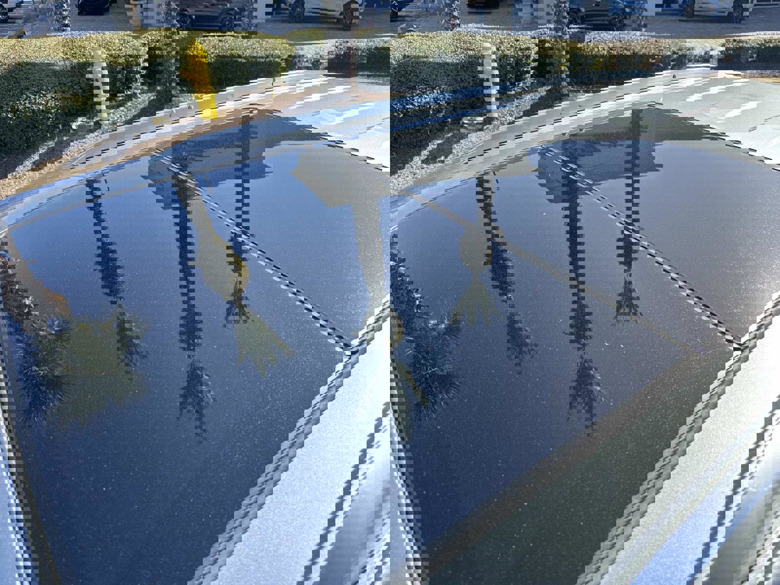 Certified 2025 Cadillac XT6 Premium Luxury image 11