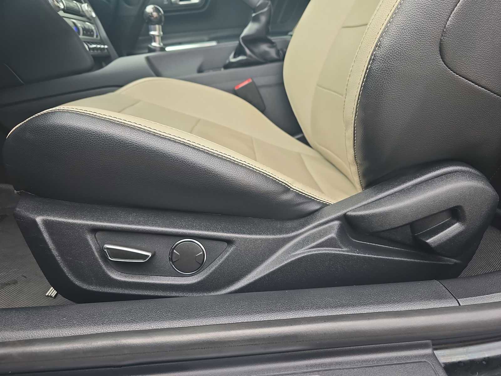 Used 2019 Ford Mustang GT Premium w/ Enhanced Security Package image 15