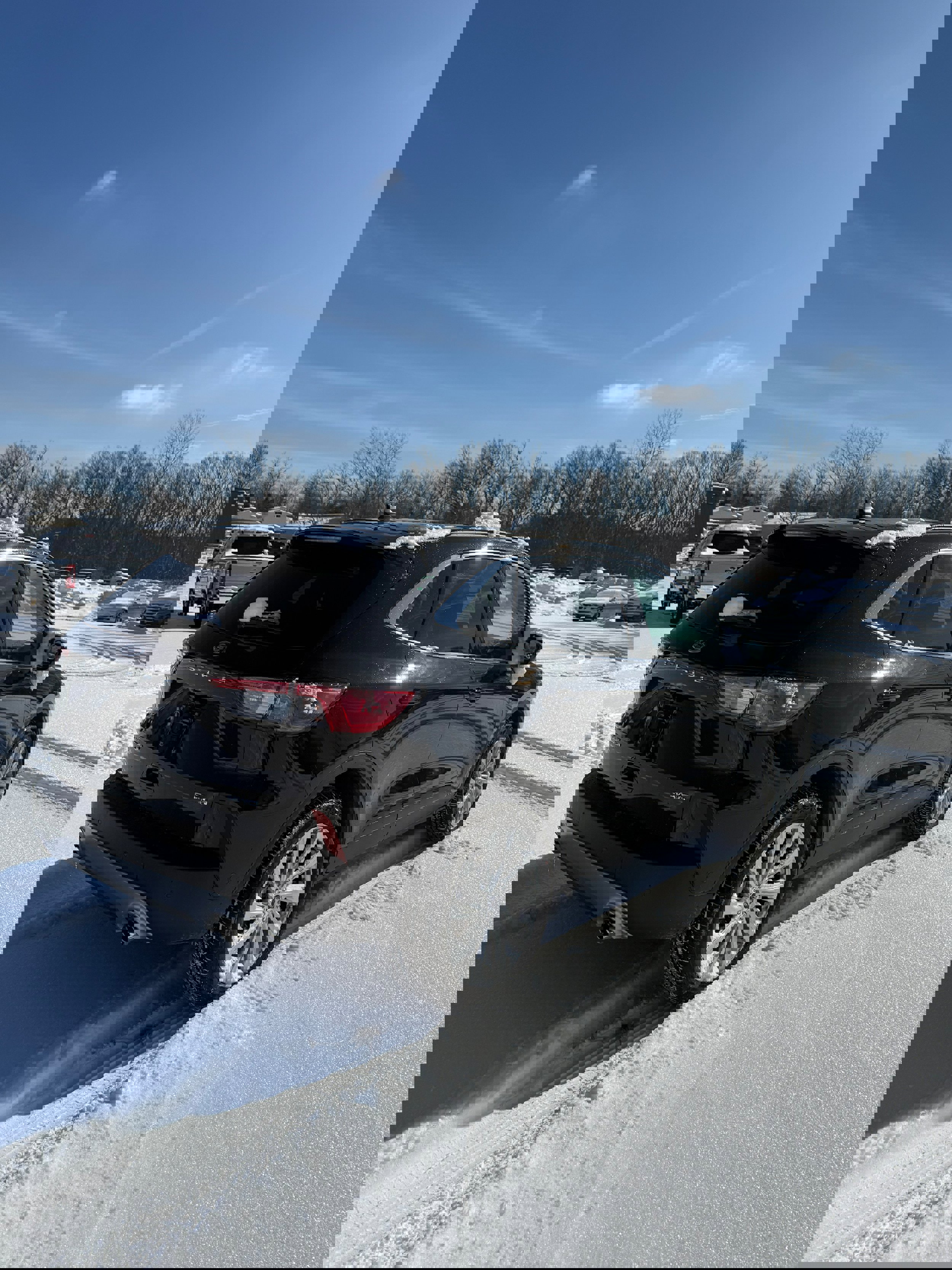 Used 2022 Ford Escape Titanium w/ Titanium Elite Package image 5