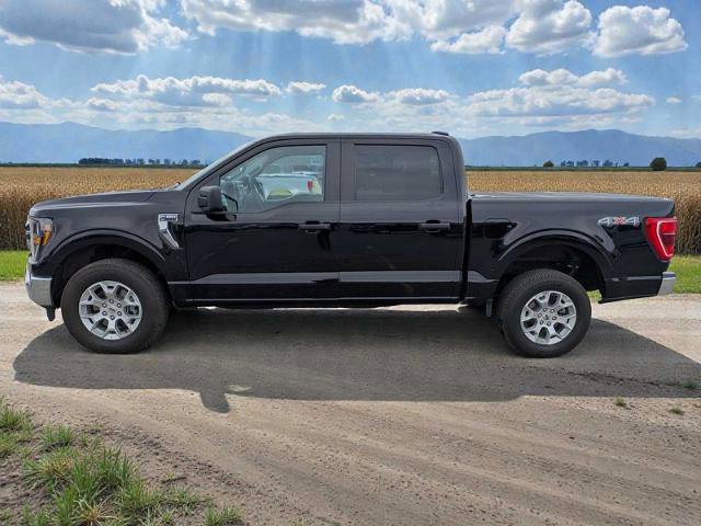 Certified 2023 Ford F150 XLT image 3