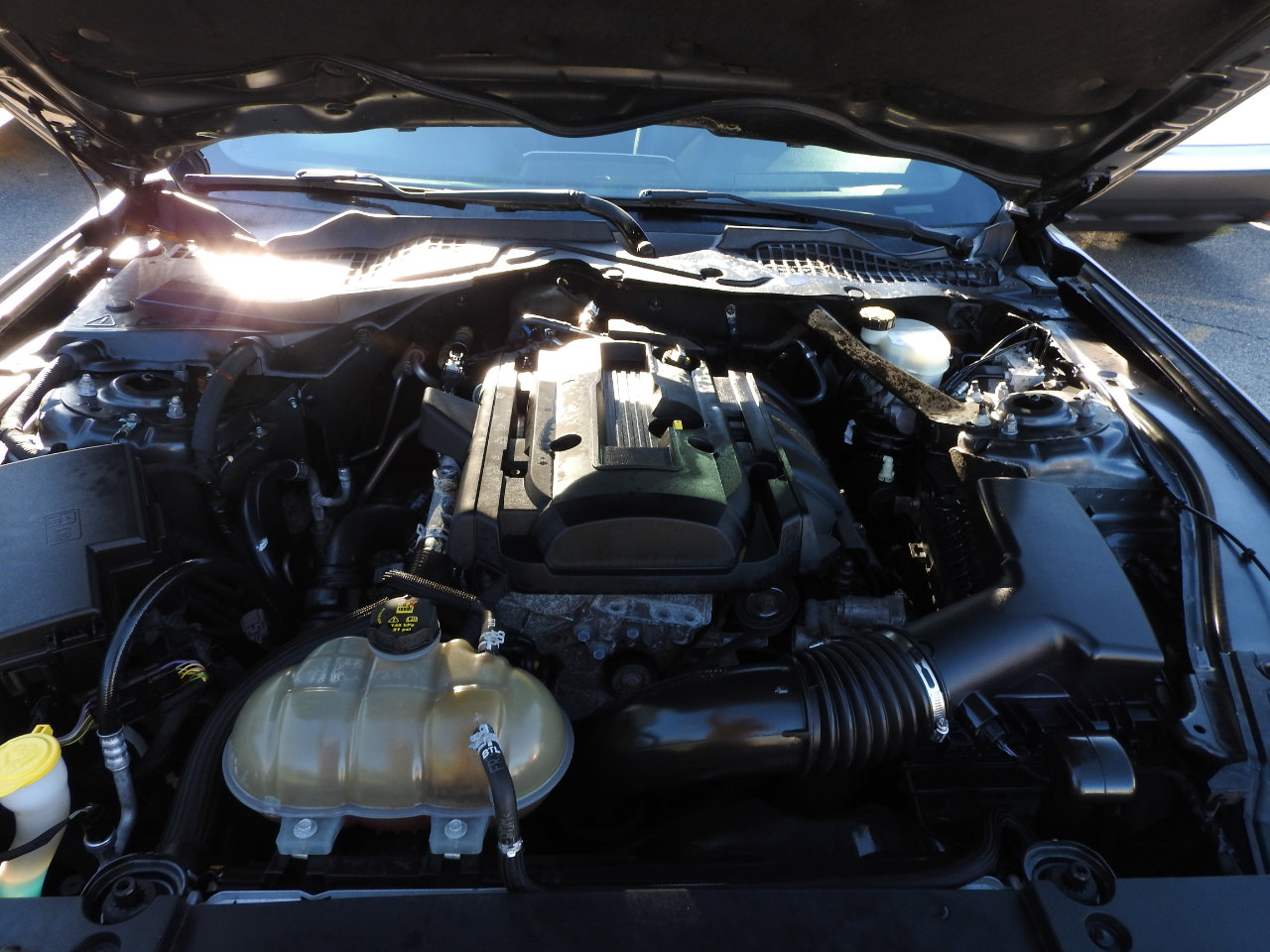 Used 2017 Ford Mustang Premium image 17