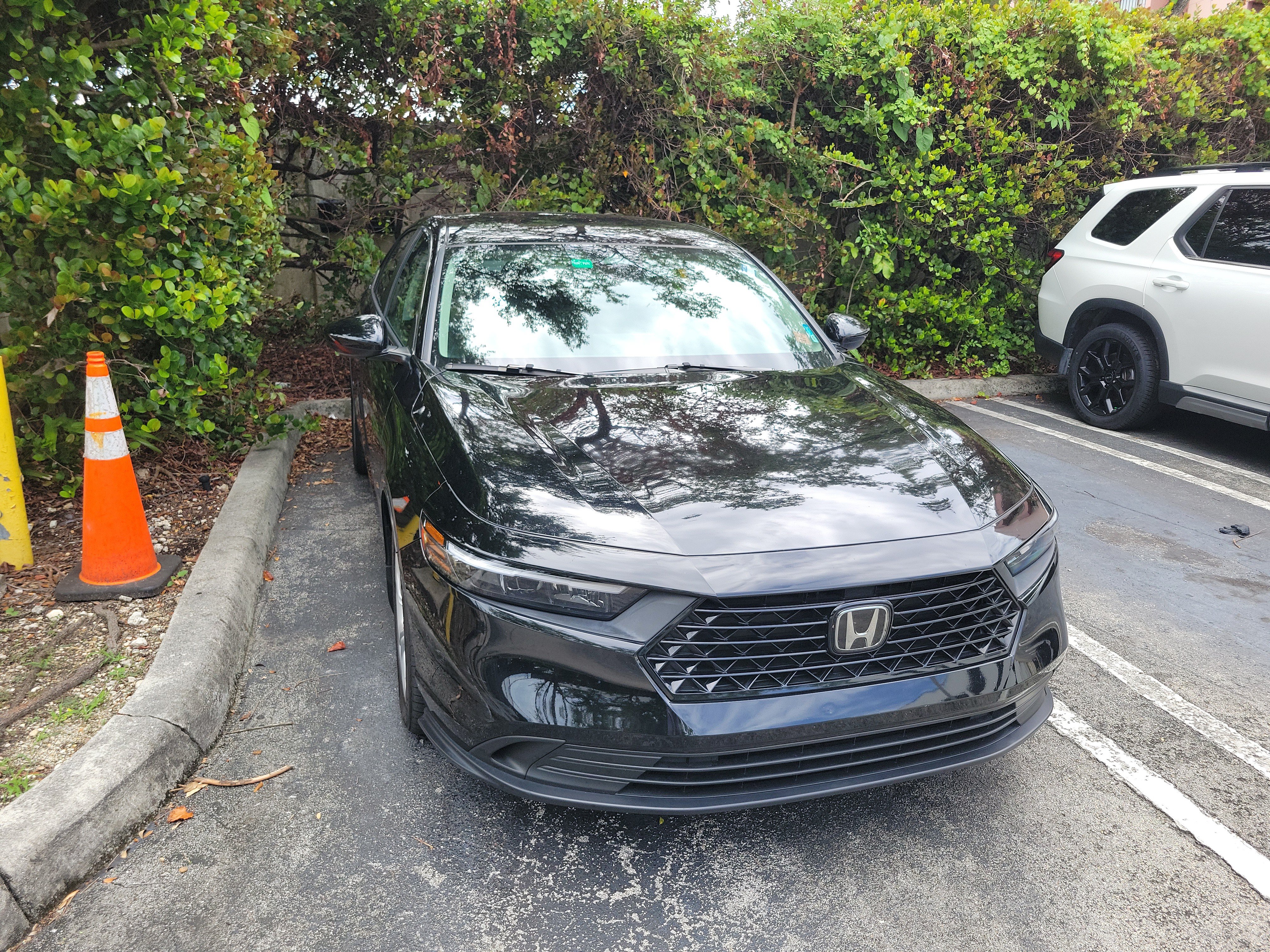 Certified 2024 Honda Accord LX image 4