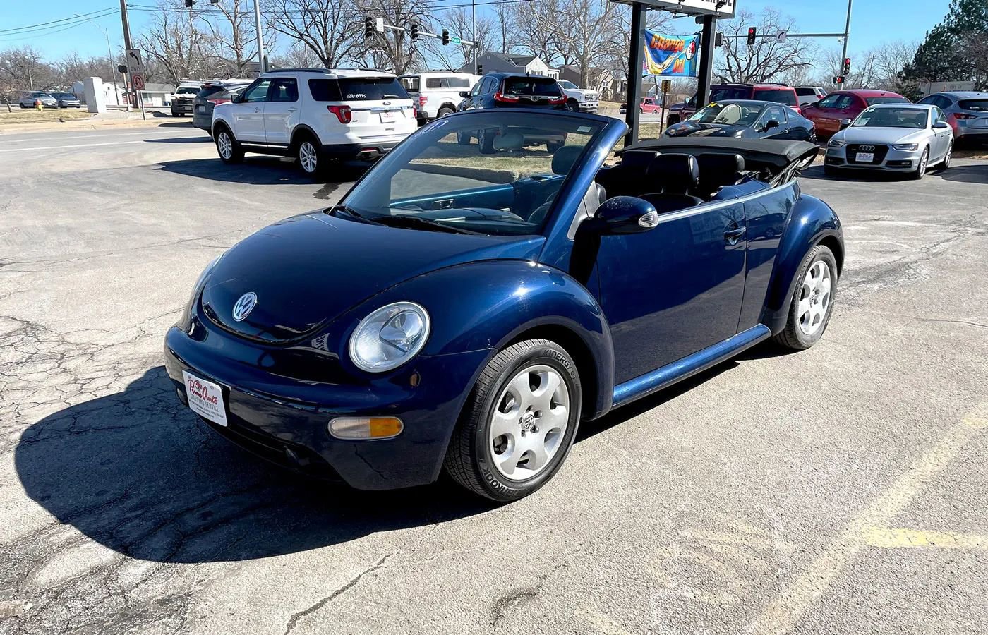 Used 2003 Volkswagen Beetle GLS image 3