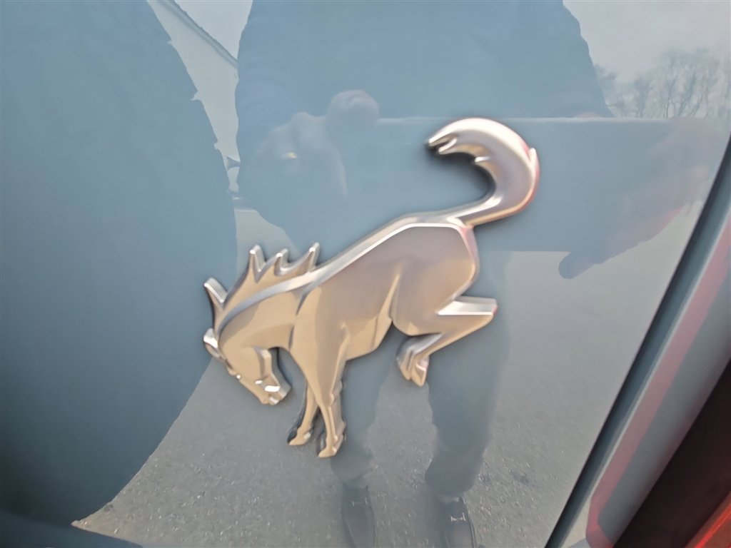 Used 2021 Ford Bronco Black Diamond image 30