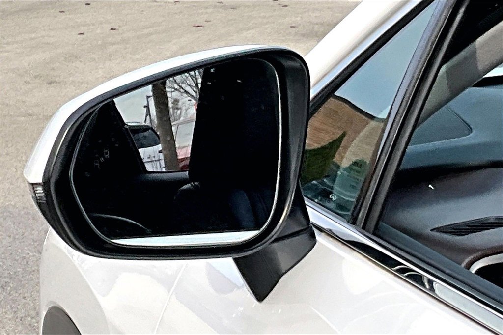 Used 2017 Lexus RX 350 F Sport image 15