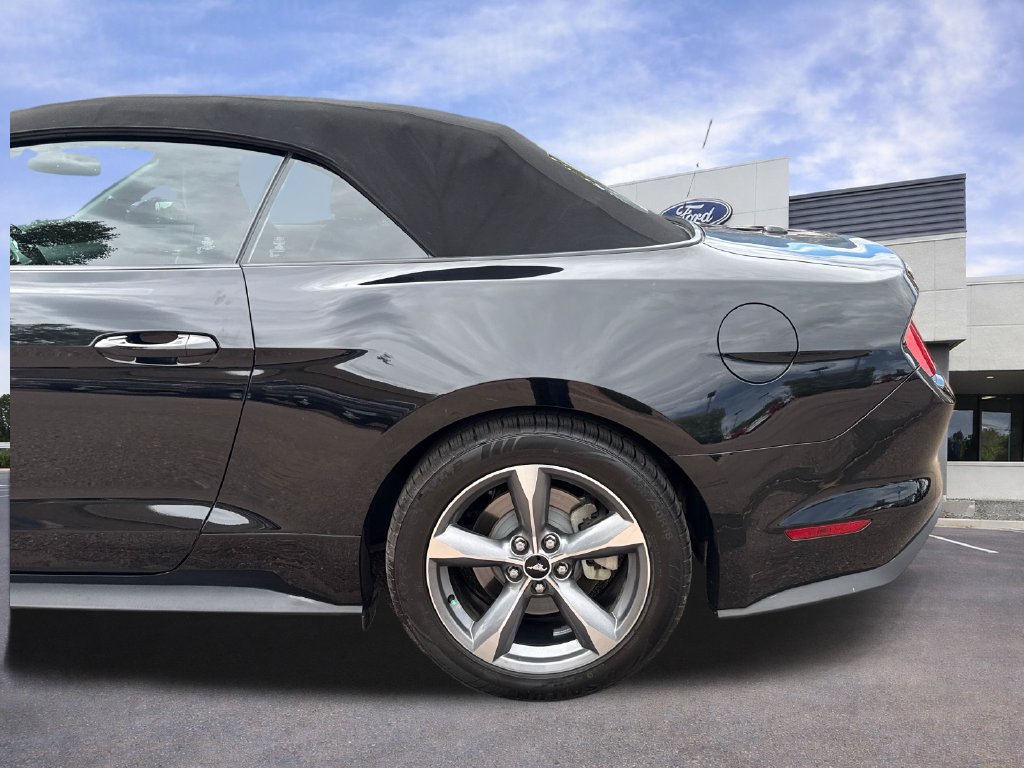 Used 2015 Ford Mustang Premium w/ Equipment Group 201A RWD image 27