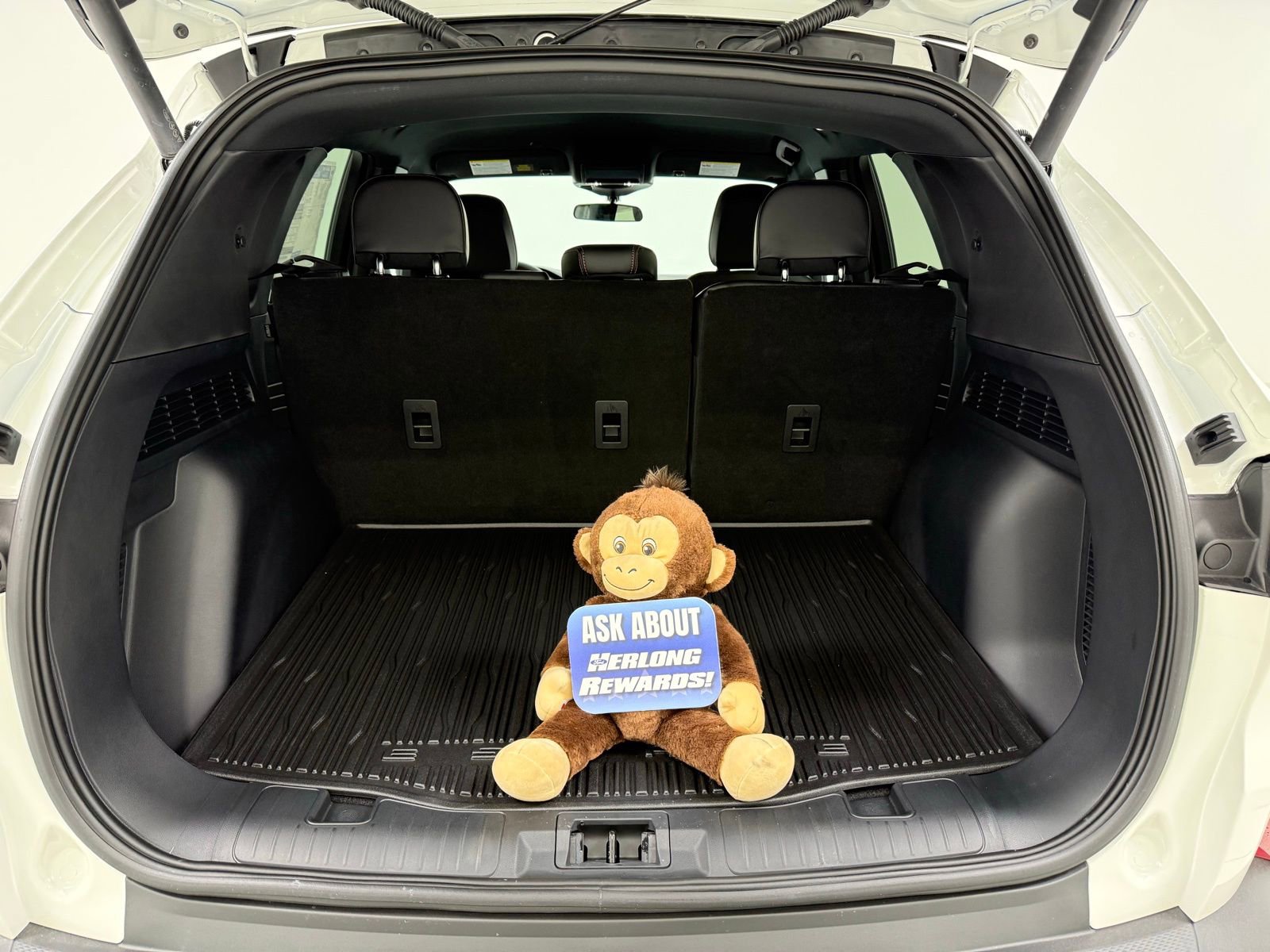 New 2026 Ford Escape ST-Line w/ Tech Pack #1 image 9