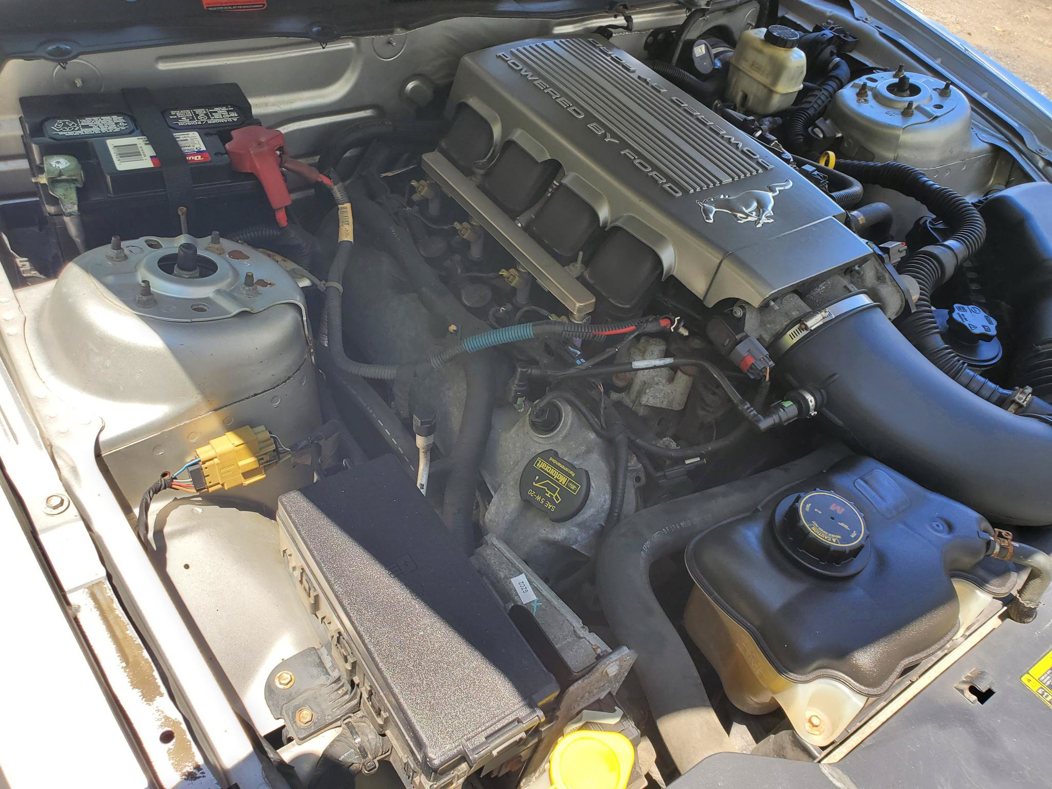 Used 2010 Ford Mustang GT Premium RWD image 13