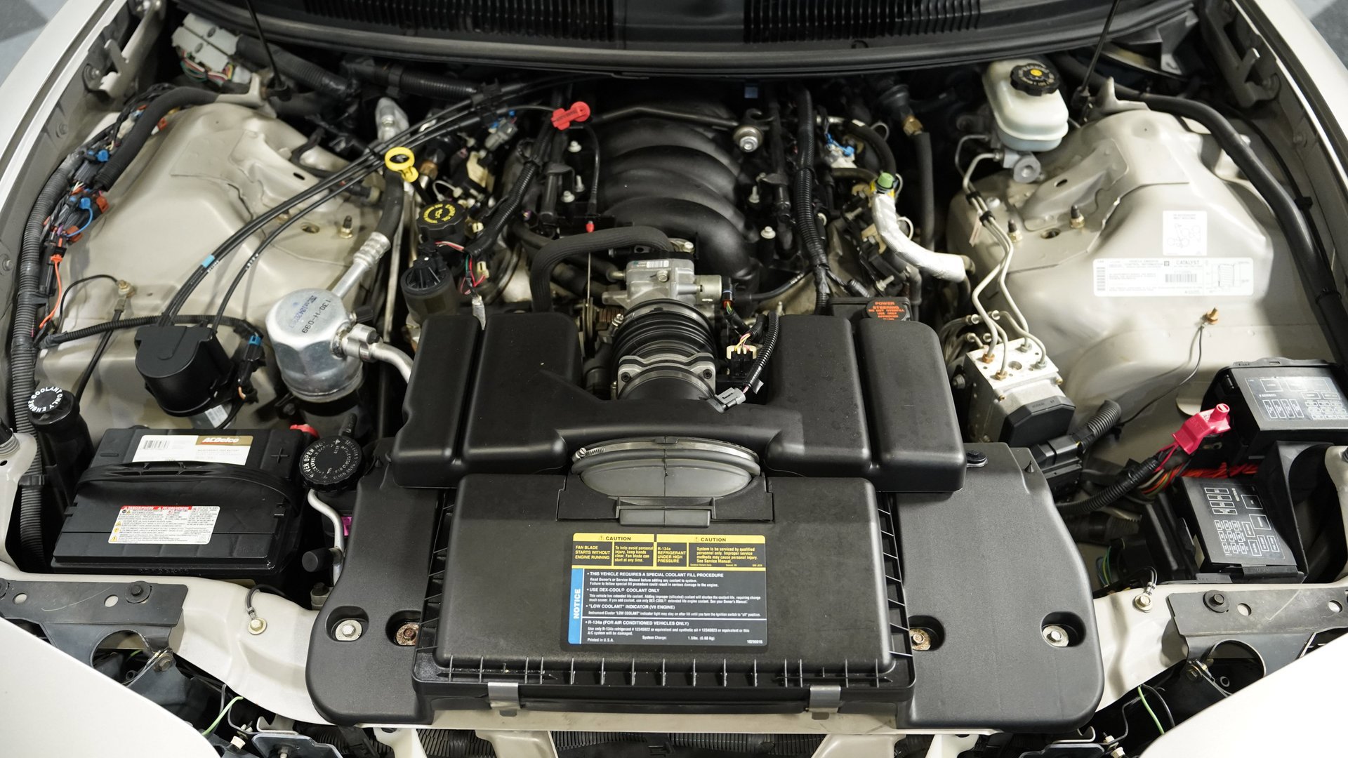 Used 1999 Pontiac Firebird Trans Am image 3