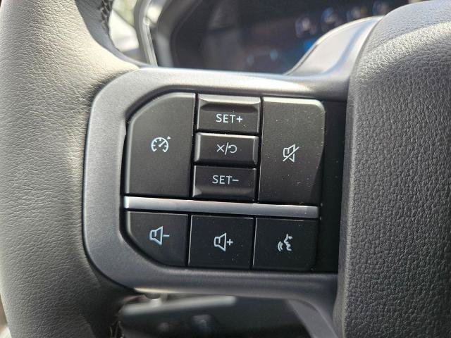 New 2026 Ford F250 4x4 Crew Cab Super Duty image 48